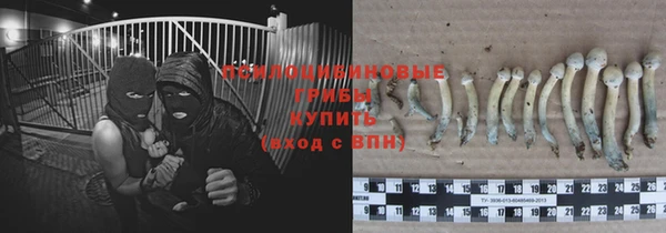прущий лед Армянск