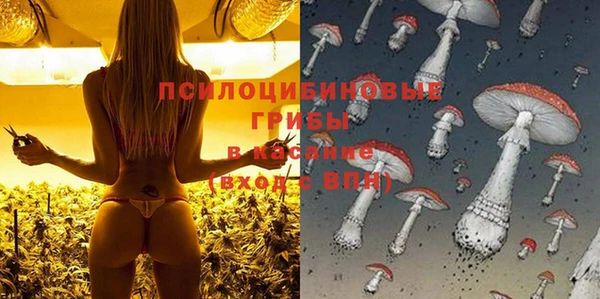 ECSTASY Абаза