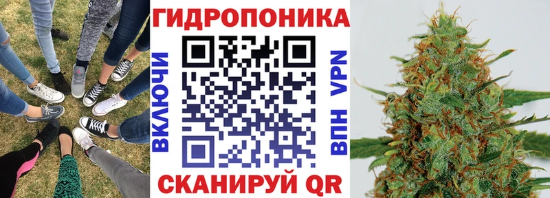 Канабис гибрид Апшеронск